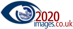 2020 images